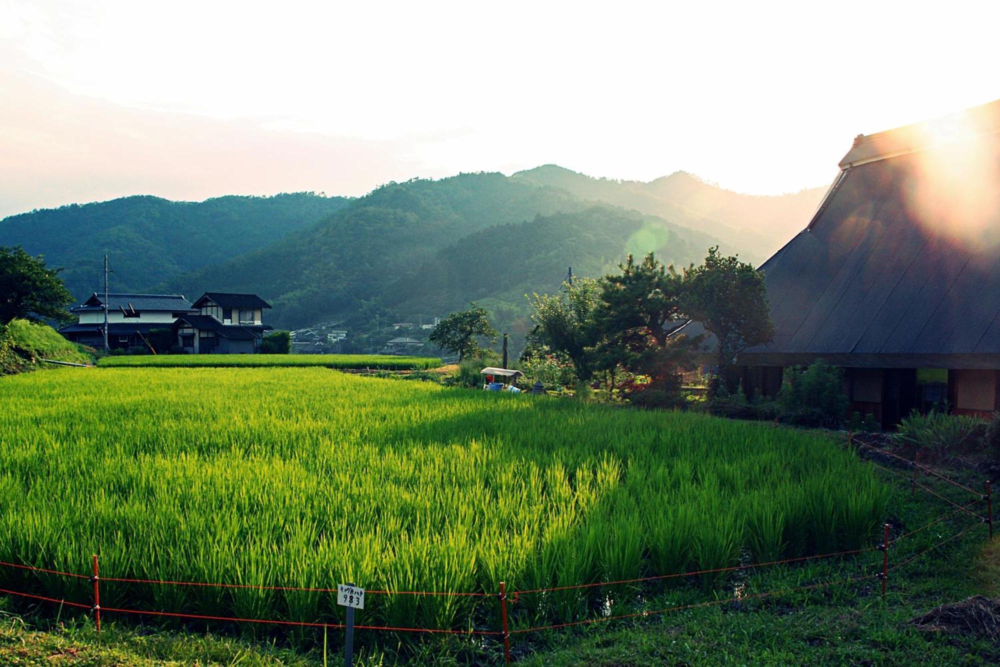 古民家の宿 ふるま家 Furumaya House Gastronomic Farmstay In Deep Kyoto Фукучіяма Екстер'єр фото